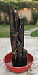 Handmade ZenFlow Multi-Tier Bamboo Water Fountain I Height - 3 feet 