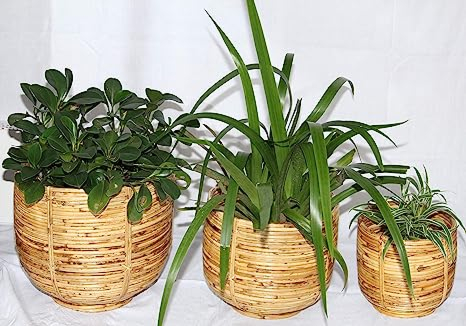 Cane Pot Planter Tub | U Shape Base | Set of 3