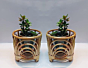 Bamboo Cane Planter Stand for Home | 8.5" H x 9" Dia | Set of 2