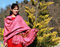 Kullu Handloom Woven Kullu Design Pattern Shawl