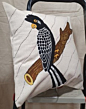 Hand Painted Cushion Covers | Set of 2 | 16x16 Inches
