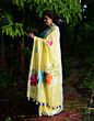 Butterfly Saree Hand Painted