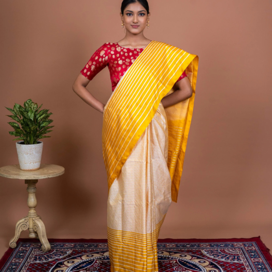 Dot and Stripes Handwoven Banaras Saree Multicolor