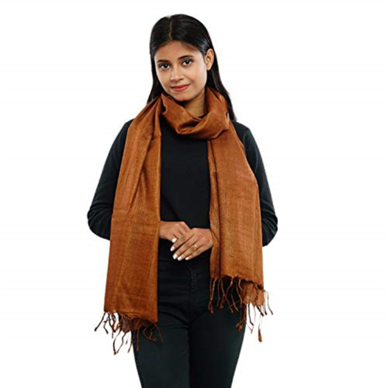 Pure Handloom Tasar Silk Dyed Stole | Brown