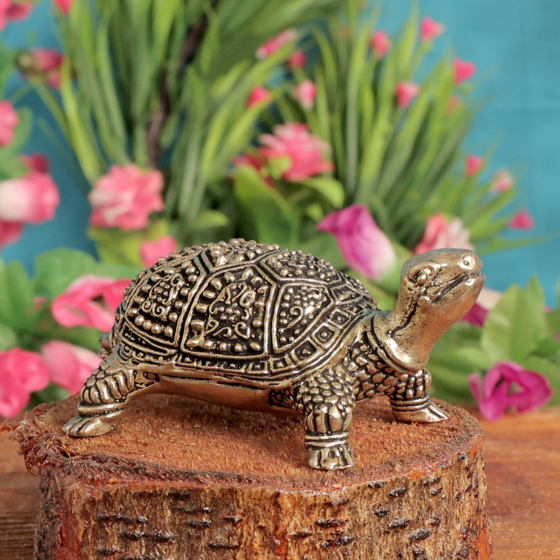 Brass Tortoise for Vastu & Feng Shui Decorative Brass Turtle Showpiece for Home Decor BH11382