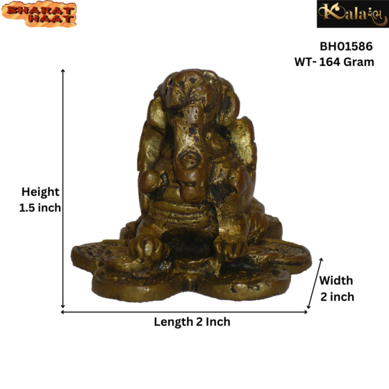 Brass Dragon Sitting on Coin Mid Statue KBH01586