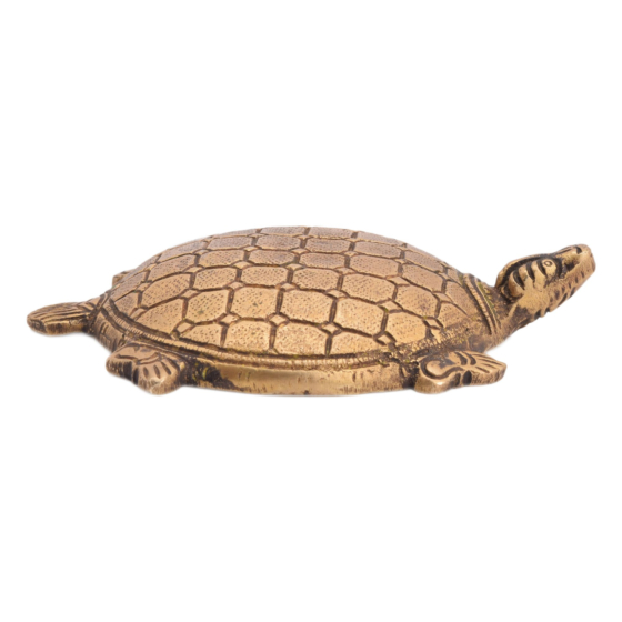 Brass Tortoise Statue  KBH05479