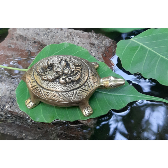 Brass Tortoise Ganesh Statue KBH07289