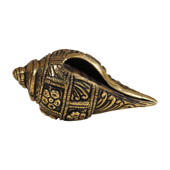 Brass Small Shankh KBH07397
