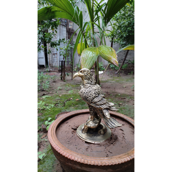 Brass Eagle Statue KBH07475