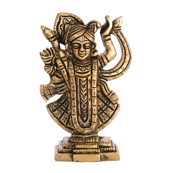 Brass Shreenathji Idol KBH08148