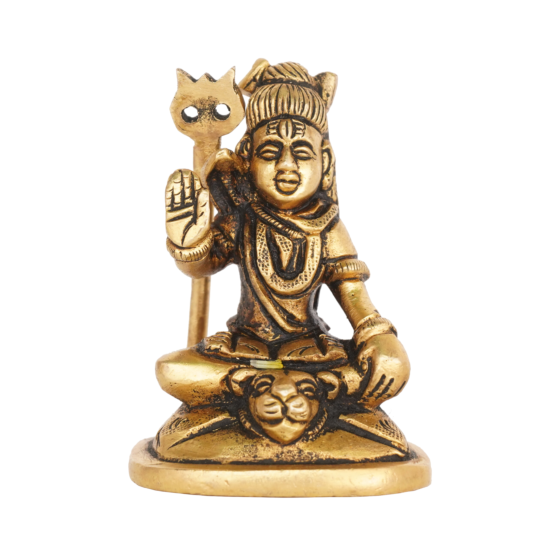 Brass Shiva Idol KBH08252