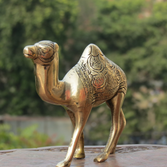 Brass camel Statue KBH08353