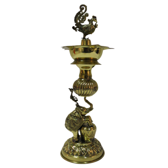 Brass Divi 11 Inch KBH09285