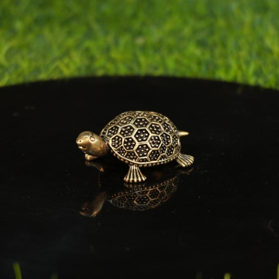Brass Tortoise Idol1 Inch KBH10038