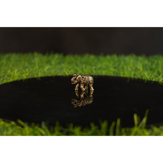 Brass Elephant 1 Inch KBH10157