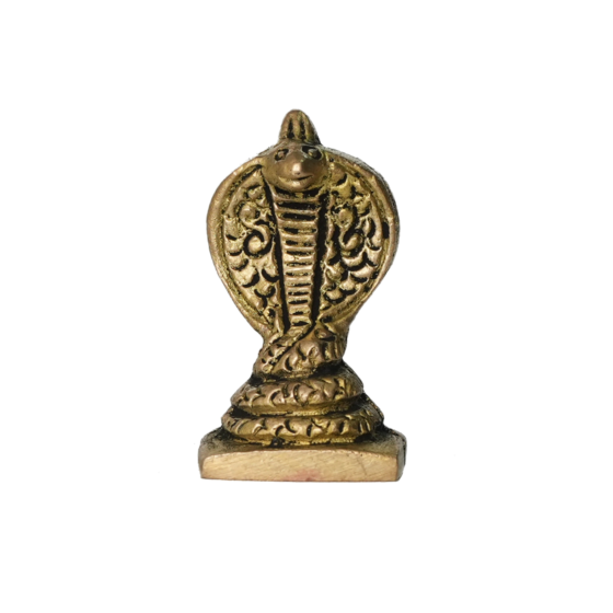 Brass Snake Nag  KBH10173