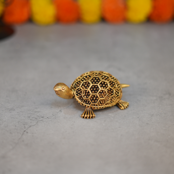 Brass Tortoise statue KBH10250