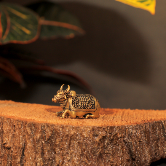 Brass Nandi 1 Inch KBH10293