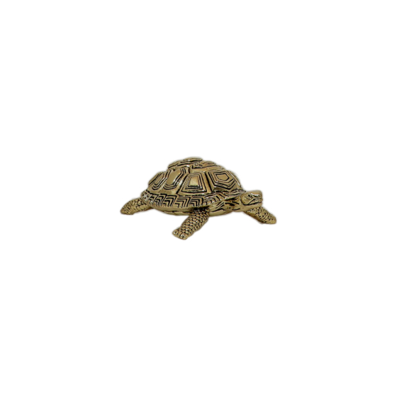 Brass Miniature Tortoise Figurine KBH10416