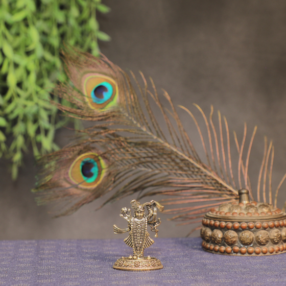 Brass Shrinathji Idol KBH10440