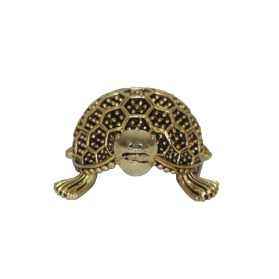 Brass Tortoise Statue KBH10784