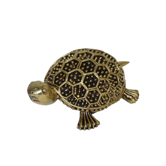 Brass Tortoise Statue KBH10784
