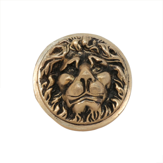 Brass Lion Door Handle KBH11276
