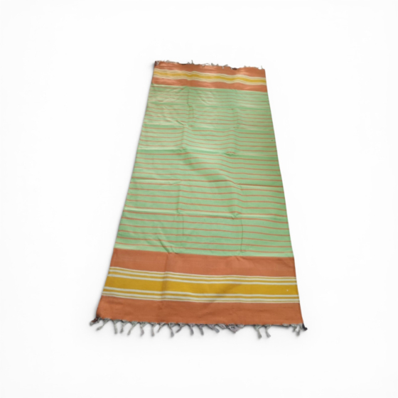 Bhavani Multi Colour Carpet