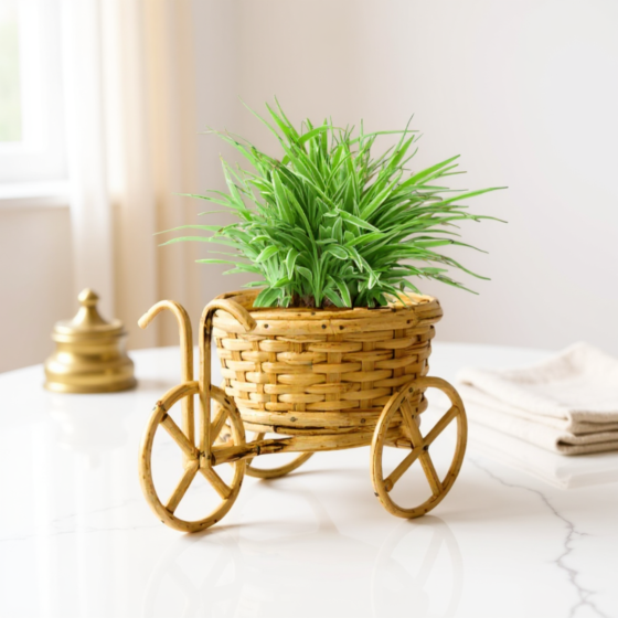 Handmade Cane & Bamboo Cycle Rikshaw Planter