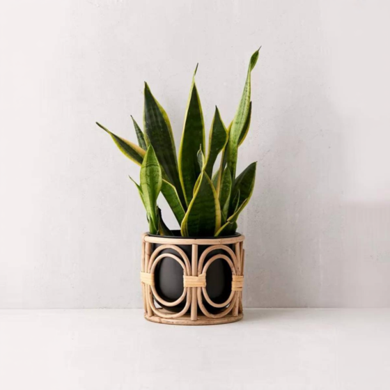 Rattan Boho Boca Pot 