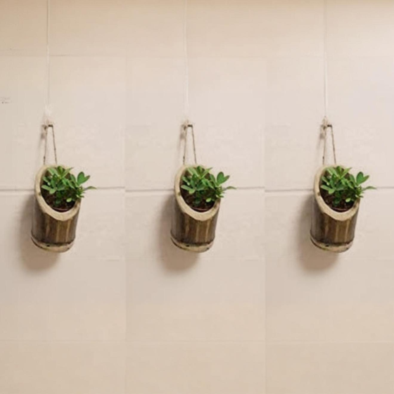 Vertical Hanging Bamboo Planters with Rope - Bamboo Stand - Bamboo Pot