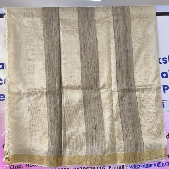 Handloom Kosa Silk Saree I Light Golden