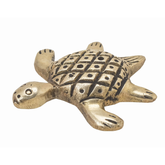Brass Small Tortoise showpiece KBH06509 