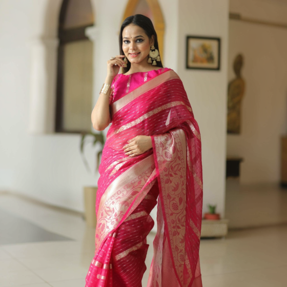 Handloom Banarasi Organza Mix Saree | Pink