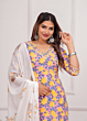Pure Cotton Suit Set | Printed | Multi Colour