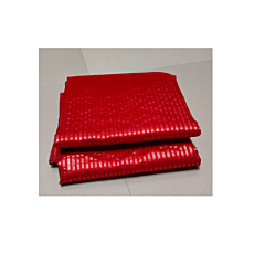 Red Chanderi Saree with Zari Stripes