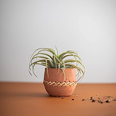 Dastkar Crafts Home & Garden Natural Terracotta and Woven Rattan Planter 5"x5" 