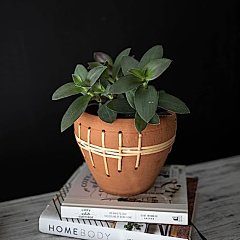 Terracotta & Rattan Planter