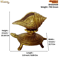 Brass Shankh on Tortoise KBH00409