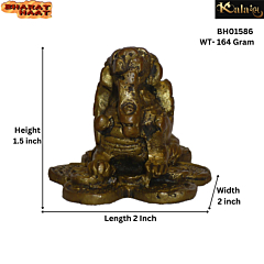 Brass Dragon Sitting on Coin Mid Statue KBH01586