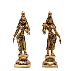 Brass Riddhi Siddhi Idol Set KBH06997