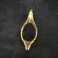 Brass Shankh Stand KBH07030