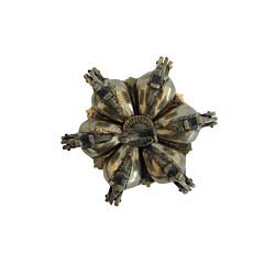 Brass Kankavati Peacock KBH07139