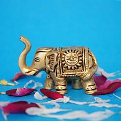 Brass Elephant 2 Inch KBH08298
