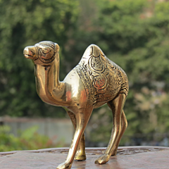 Brass camel Statue KBH08353