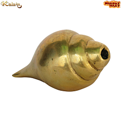 Brass Sound Making Shankh KBH08448