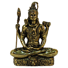 Brass Shankarji Idol KBH09303