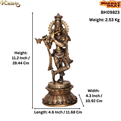 Brass Krishna Idol KBH09823