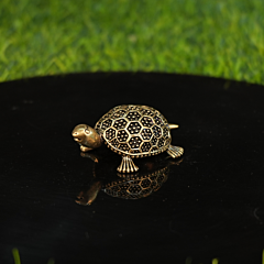 Brass Tortoise Idol1 Inch KBH10038
